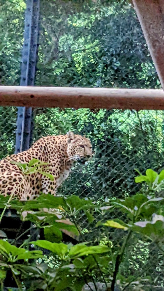 動植物園