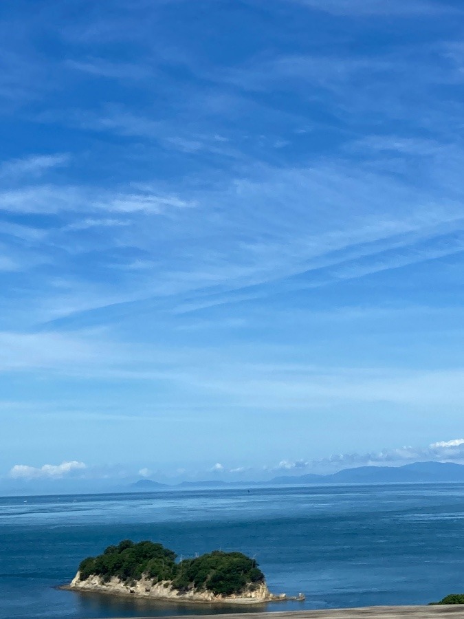 鳴門の海