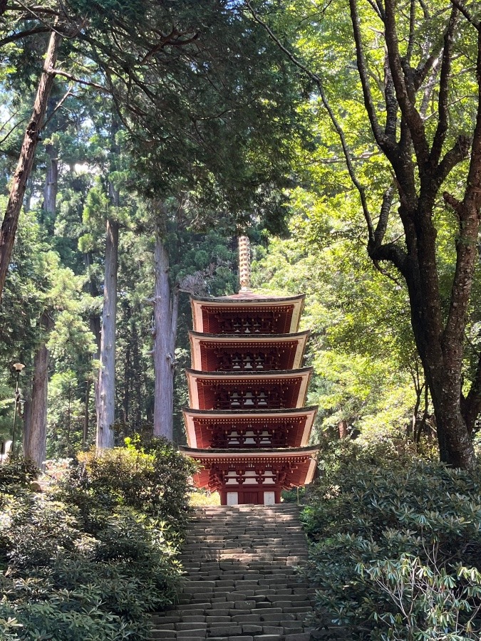 女人高野　室生寺②