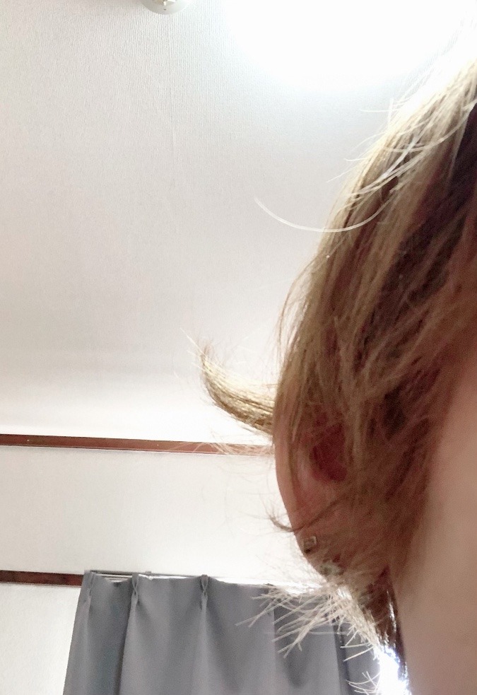 本日の