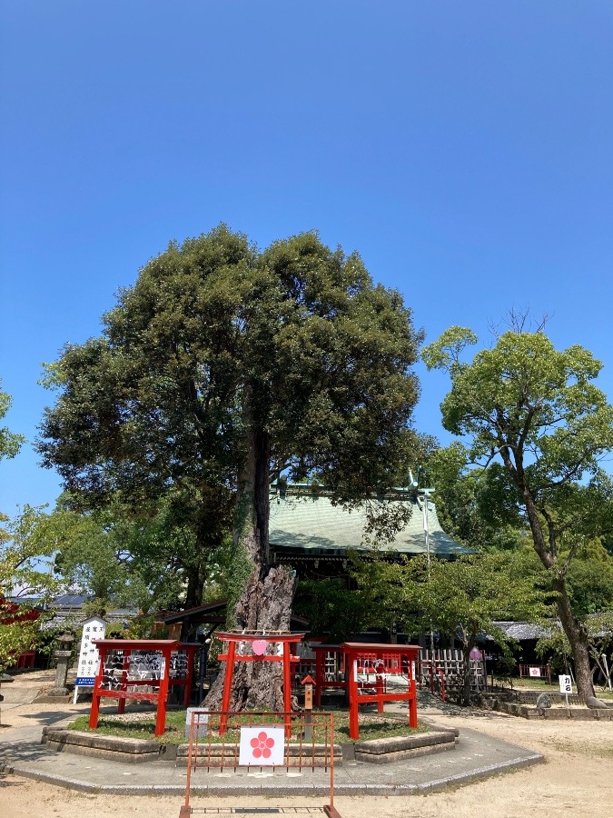 水田天満宮⛩