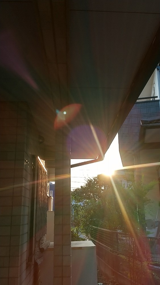 夕日
