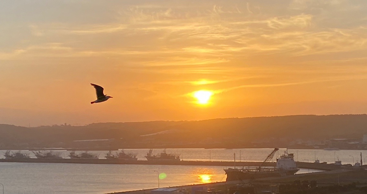 今日の夕陽