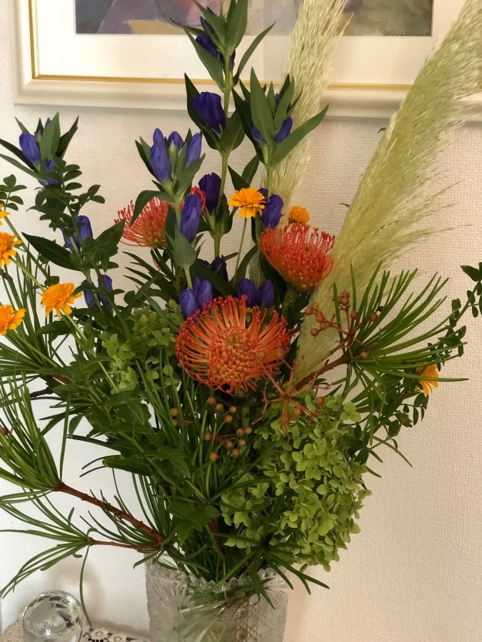 今週のお店の花