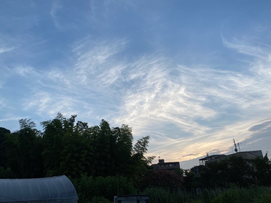 今空