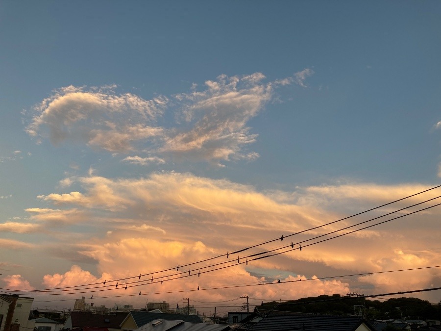 綺麗な朝焼け✨