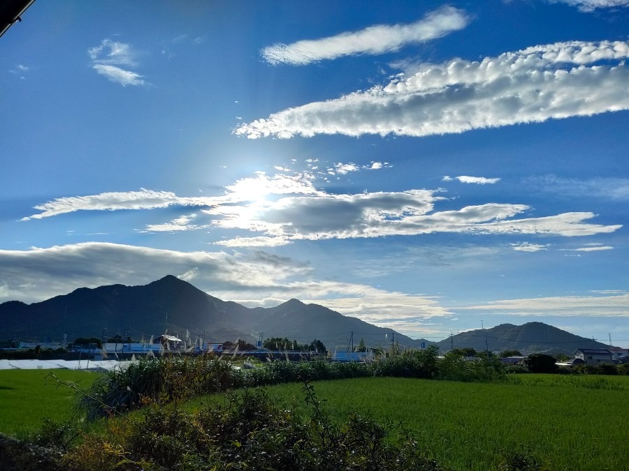 8/25朝空