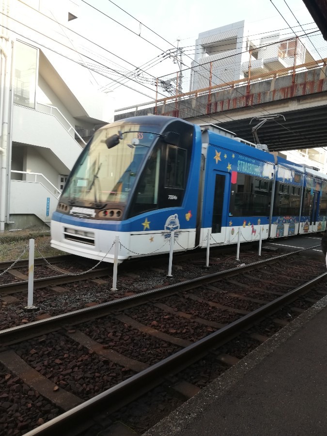 市電🚋