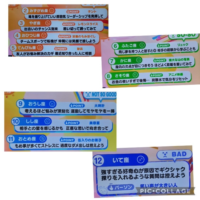 8/13今日の運勢