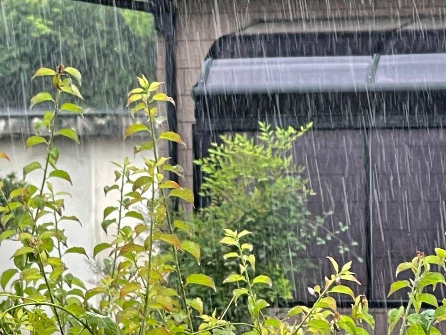 通り雨