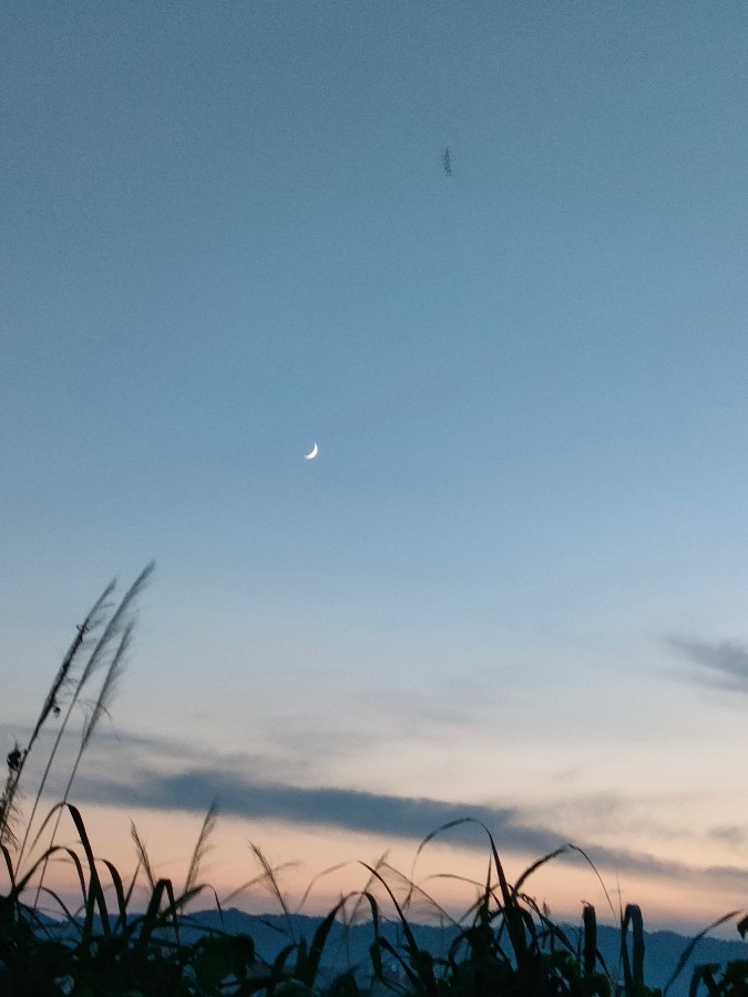 19時の空