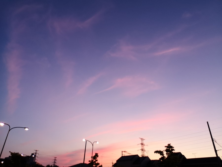 8月10日　午前4時38分　新府中街道　東の空✨