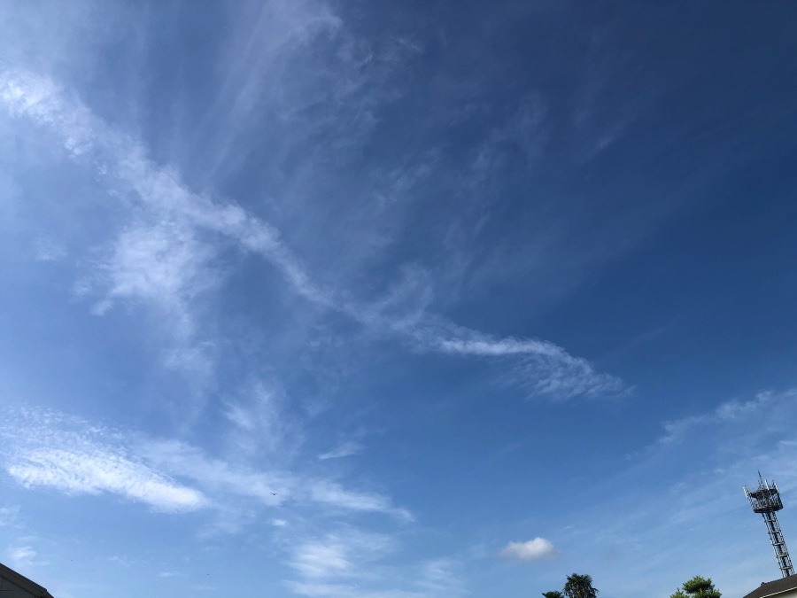 仕事合間の空