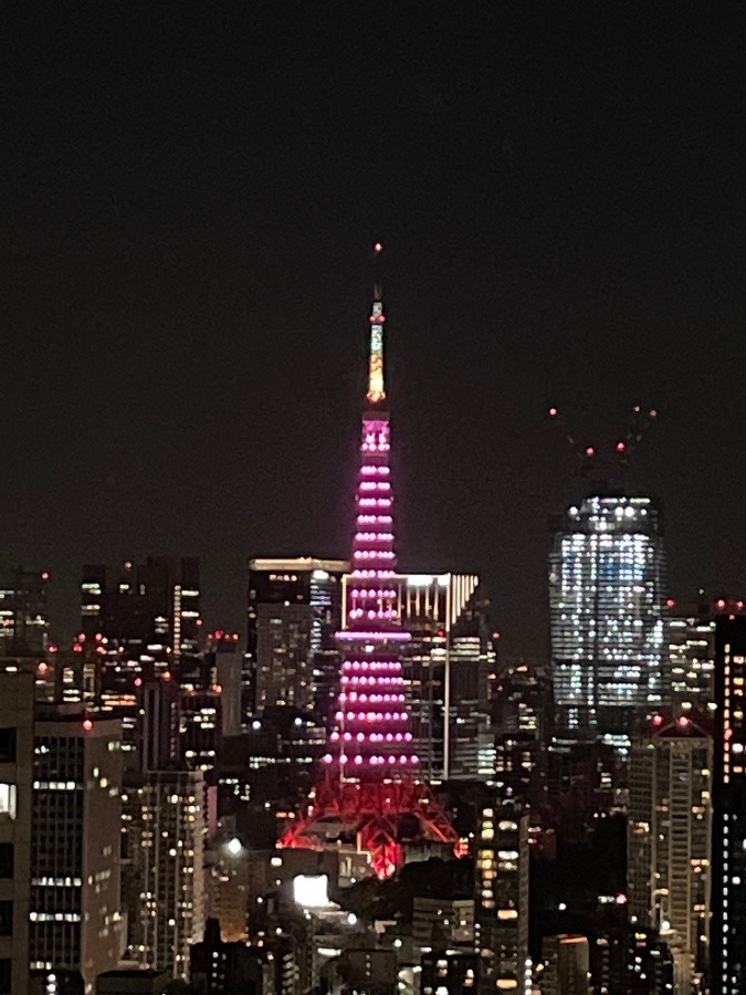 8/19 今夜の東京タワー