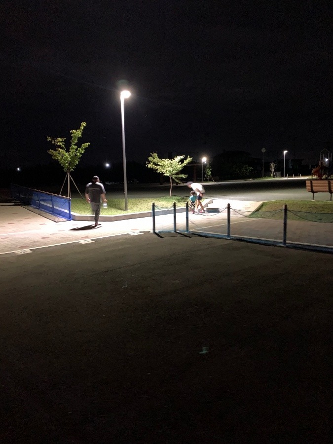 ✨夜の公園✨