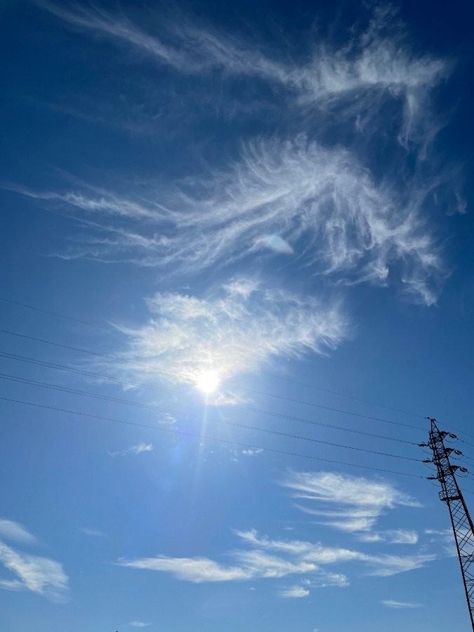 今日の岡崎