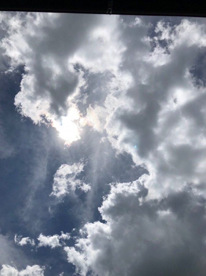 雲が⛅️賑やか