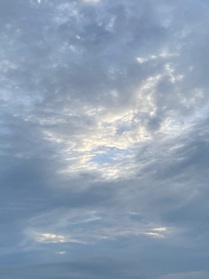 夕方の雲☁️☁️☁️