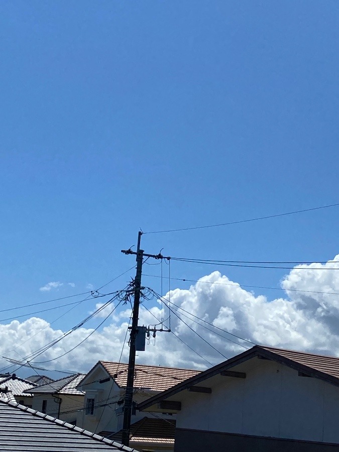 今日の雲