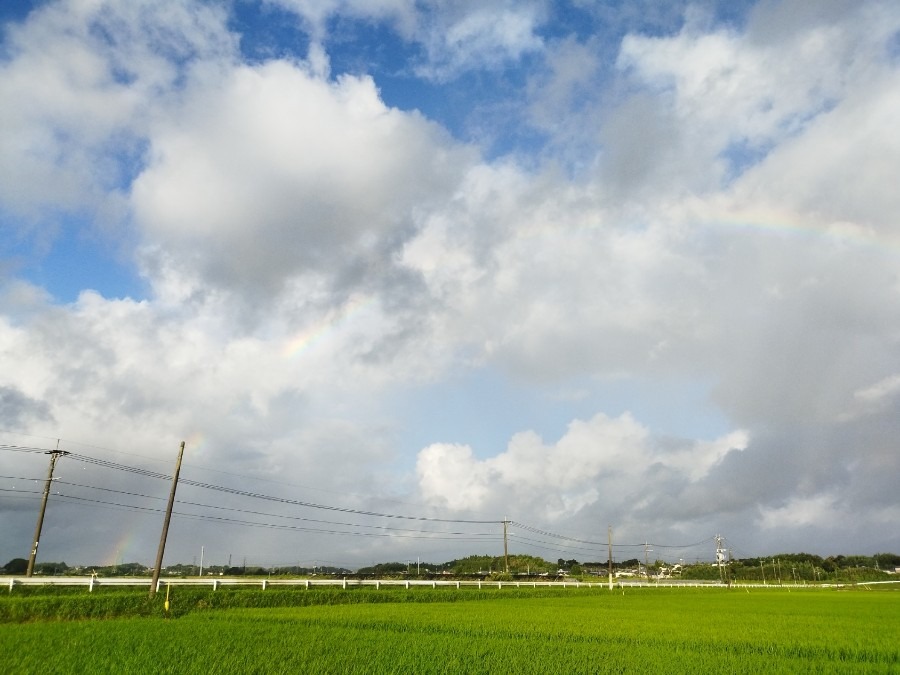 都城市（2022/8/1）②　🌈今朝も虹が見れるとは😄❗