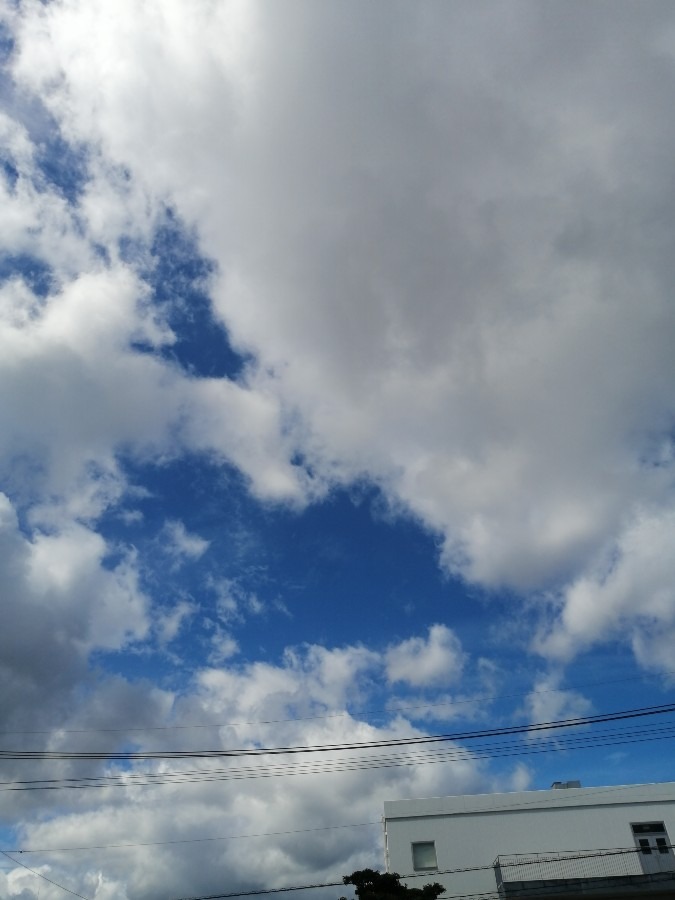 今日の空－8月15日