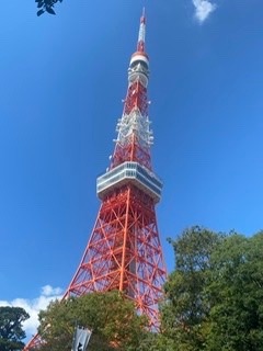 別日の東京タワー🗼✨✨