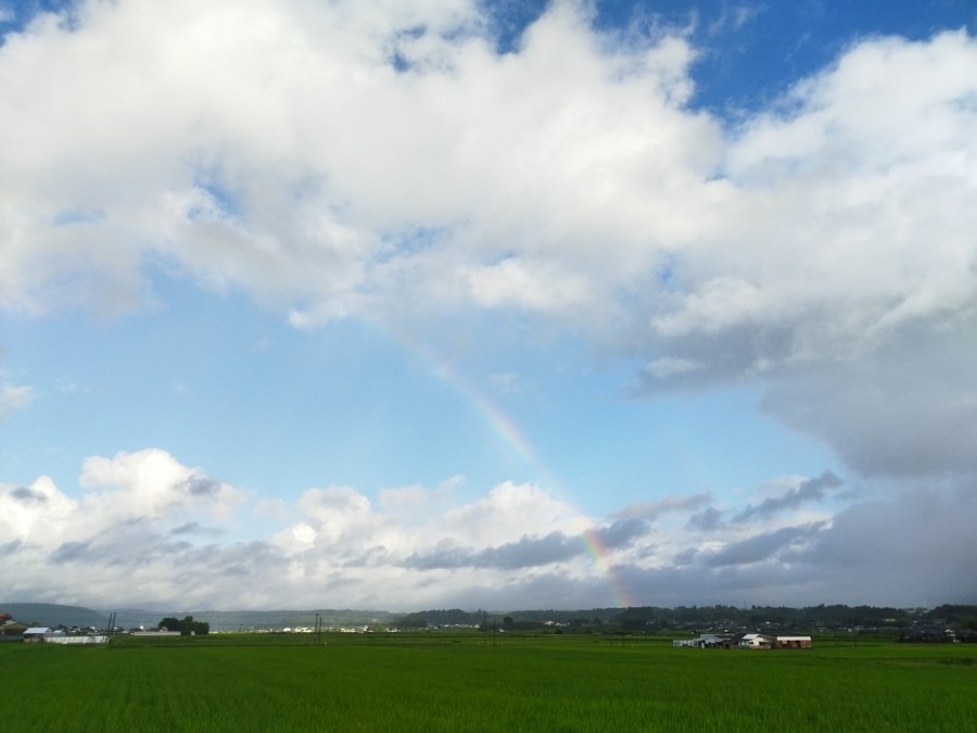 都城市（2022/8/1）③　🌈今朝も虹が見れるとは😄❗