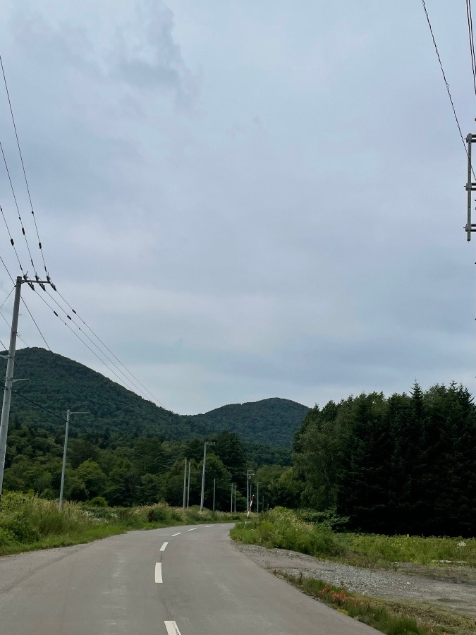 今日の北海道富良野市西達布三の山の天気