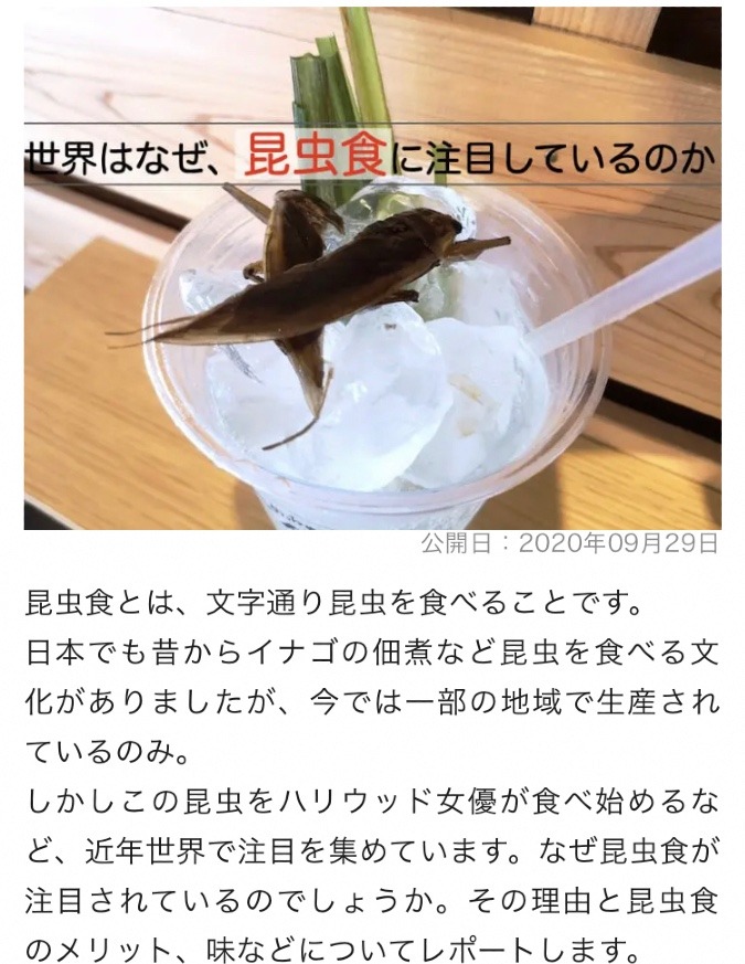 昆虫食について