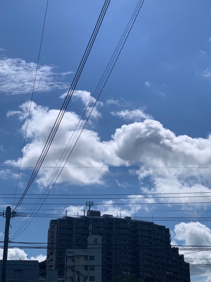 遊んでる❗️