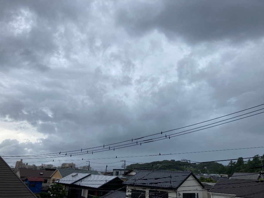 朝から雨降り…。