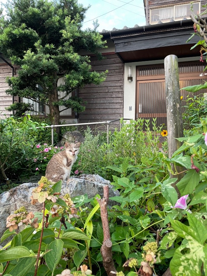 何か視線を感じる‼️