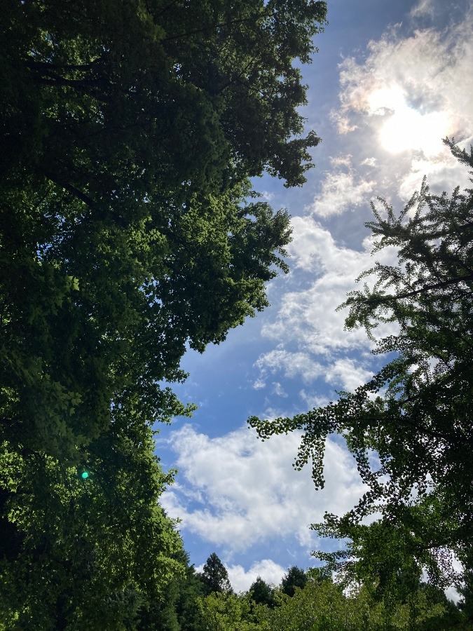 雨の合間