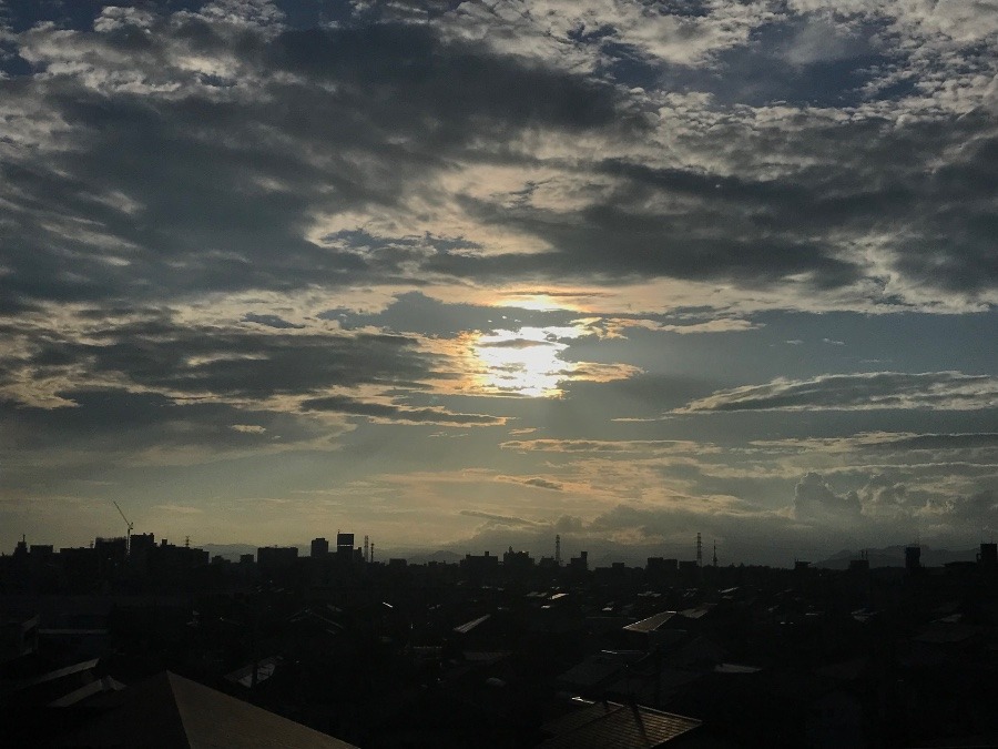 今日も ありがとう✨