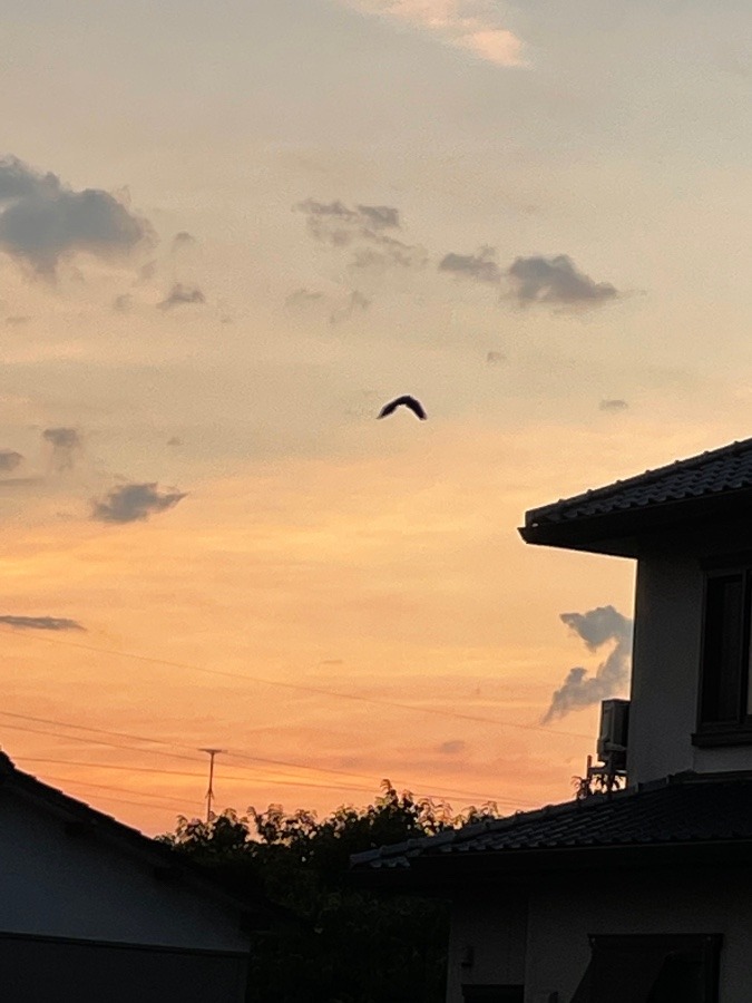 今の空✨