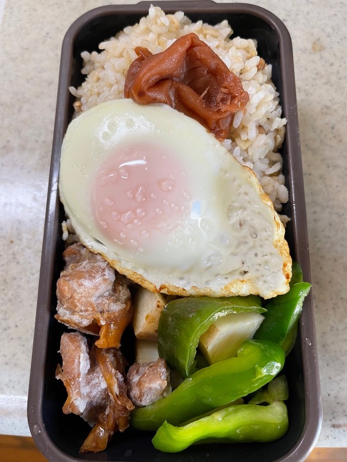 今日の弁当❣️