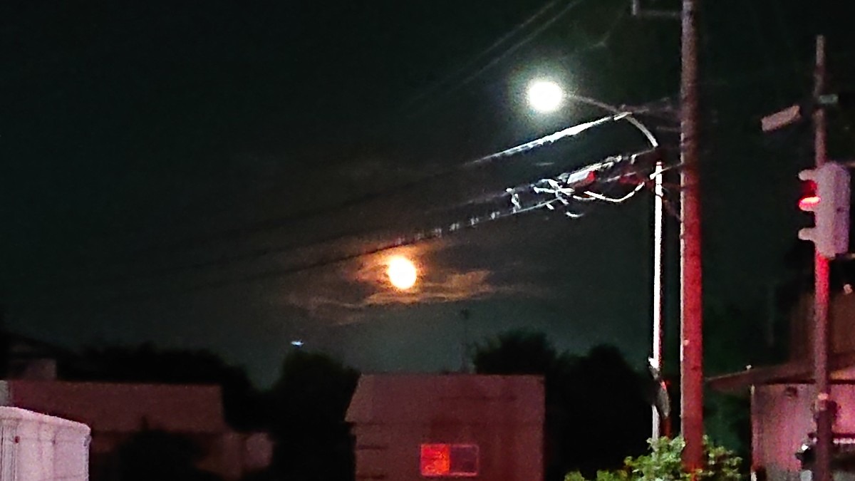 月と電灯