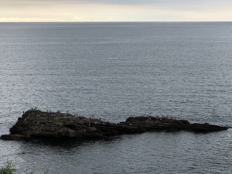 海のある風景（一休み🍵）