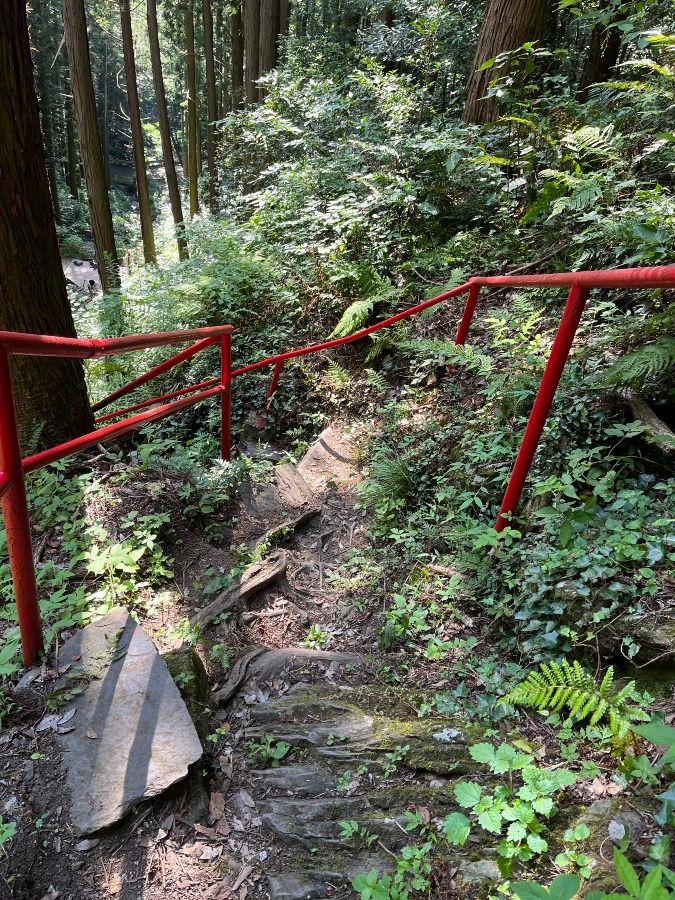 鳴滝・結構険しい！