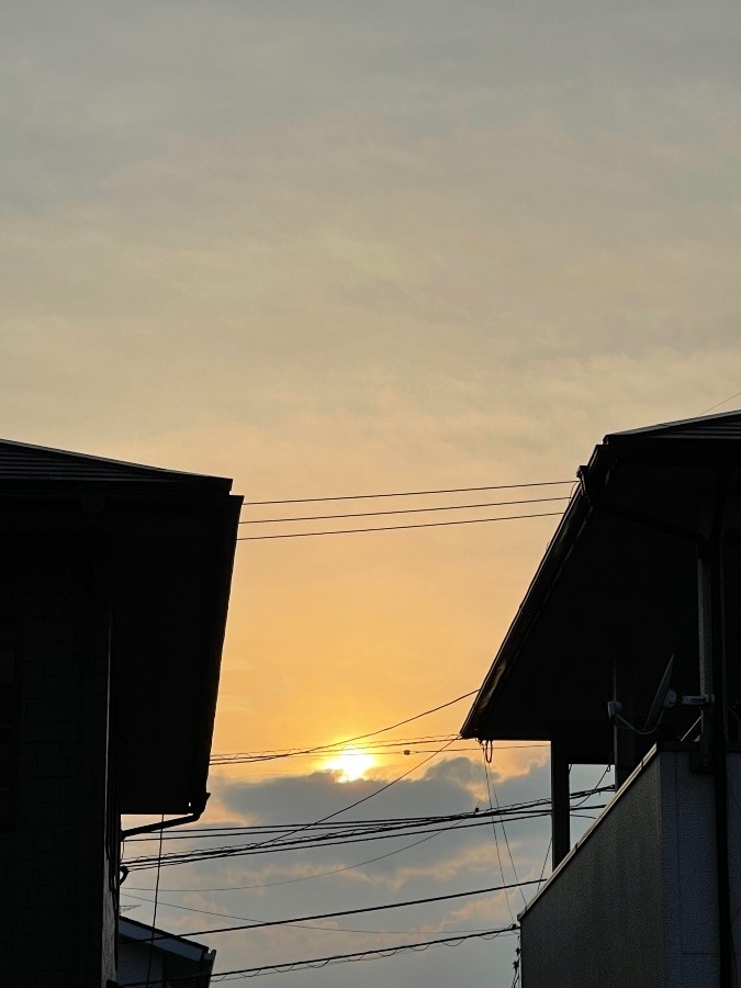 夕日❣️