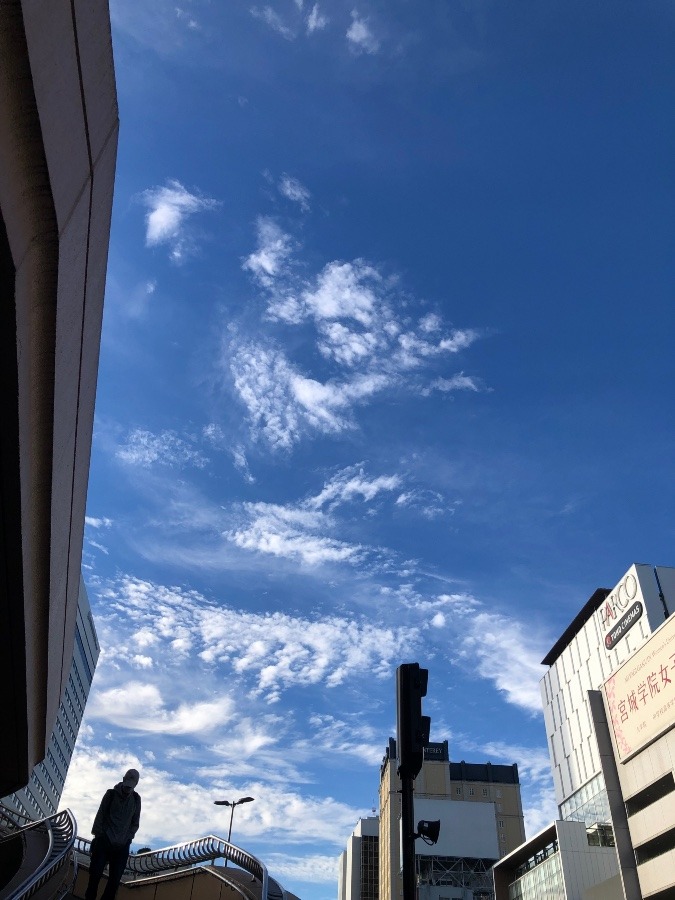 早朝の青空