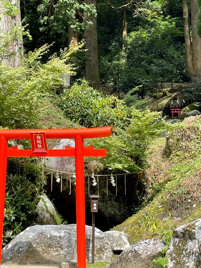 脊振神社⛩