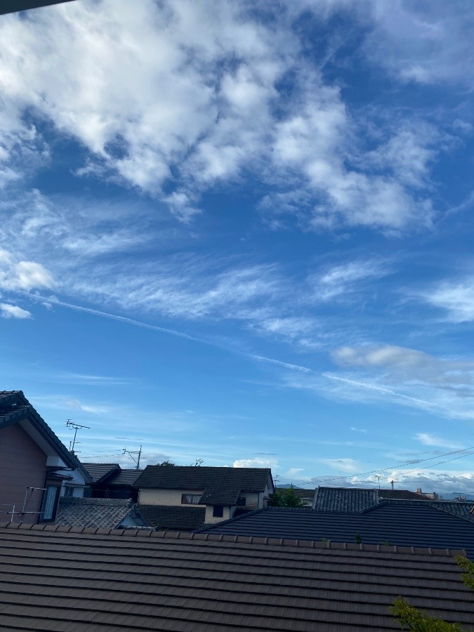 今朝の空