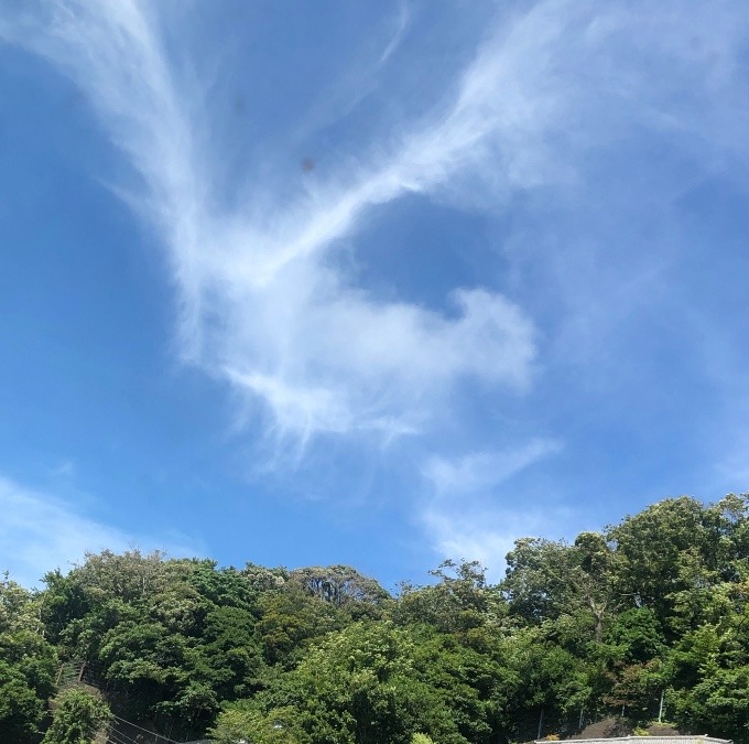 奥鎌倉の空に鳳凰が❣️