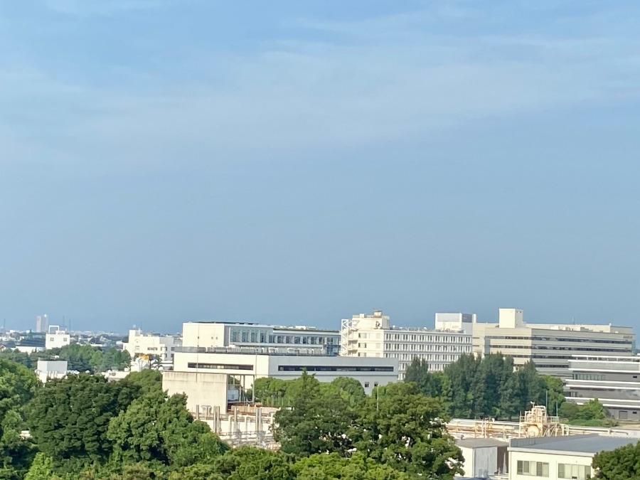 今朝の富士山