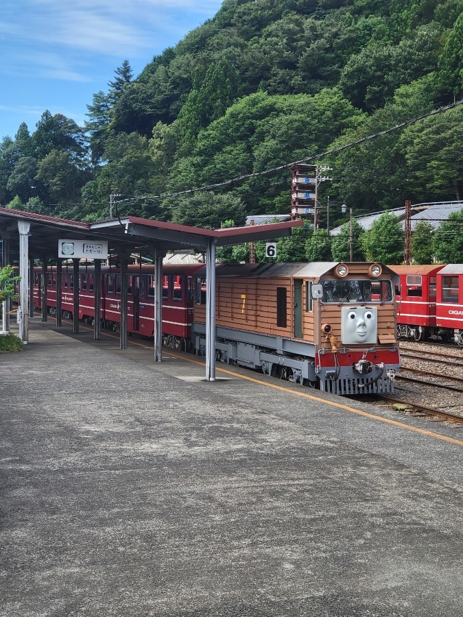 機関車トーマスの仲間のトビー期間限定で運行中です