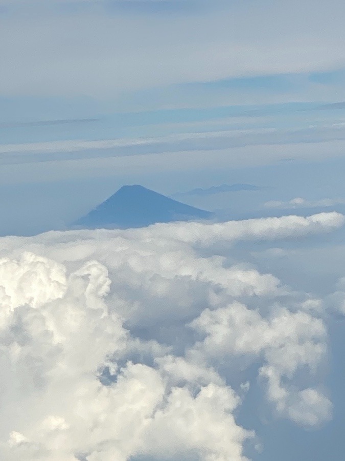 今日の   富士山⛰