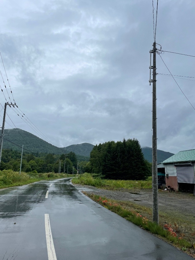北海道富良野市西達布三の山