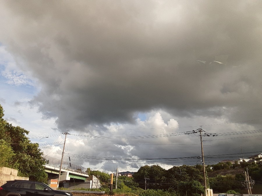 雲もくもく部❣️( ˶˙ᵕ˙˶ )🍀*゜