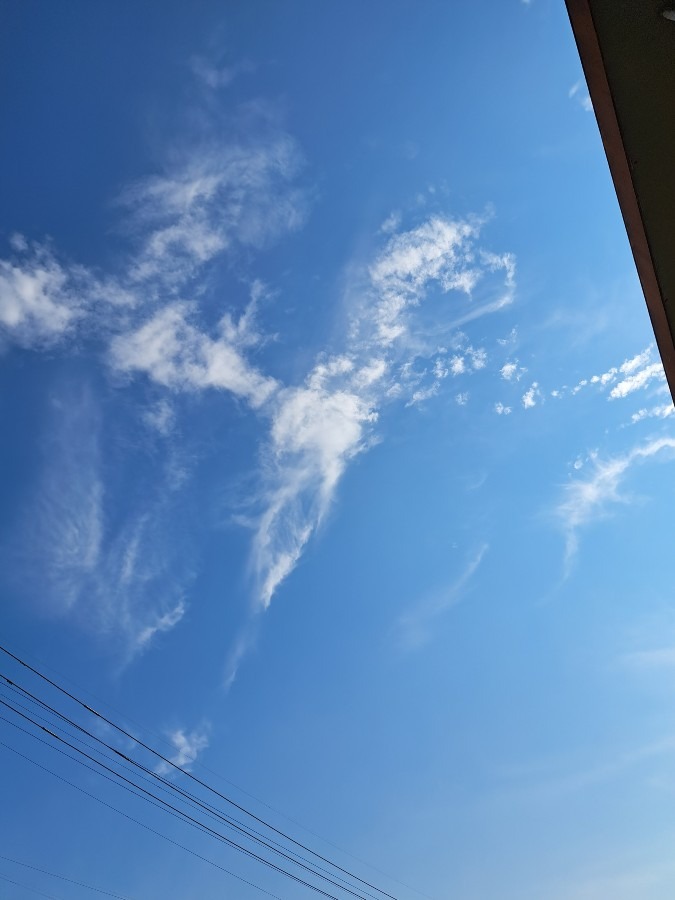 飛翔　青空に